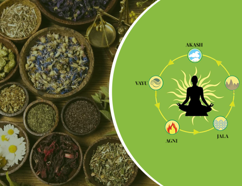 5 Elements of Life according to the Ayurvedic Treatment System