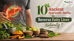 10 ancient Ayurvedic herbs for fatty liver, featuring a highlighted liver illustration, turmeric, amla, medicinal herbs, spices, and Naturoveda Health World branding.
